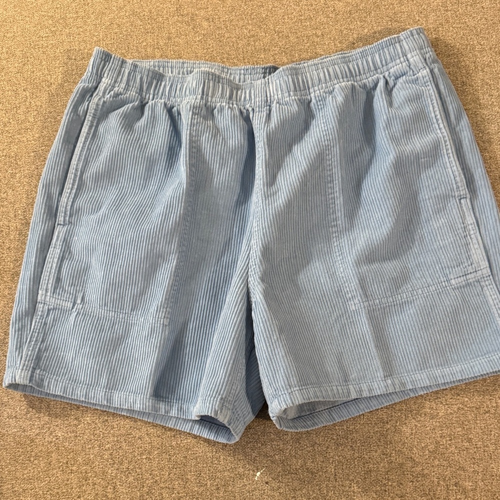Alpine Design Blue Men's Shorts